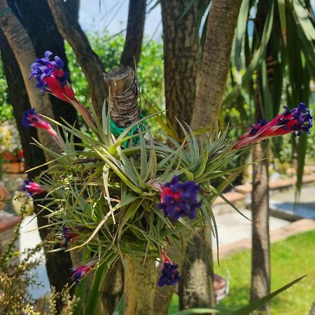 مبيت وإفطار ماراتييا Il Ruscello المظهر الخارجي الصورة