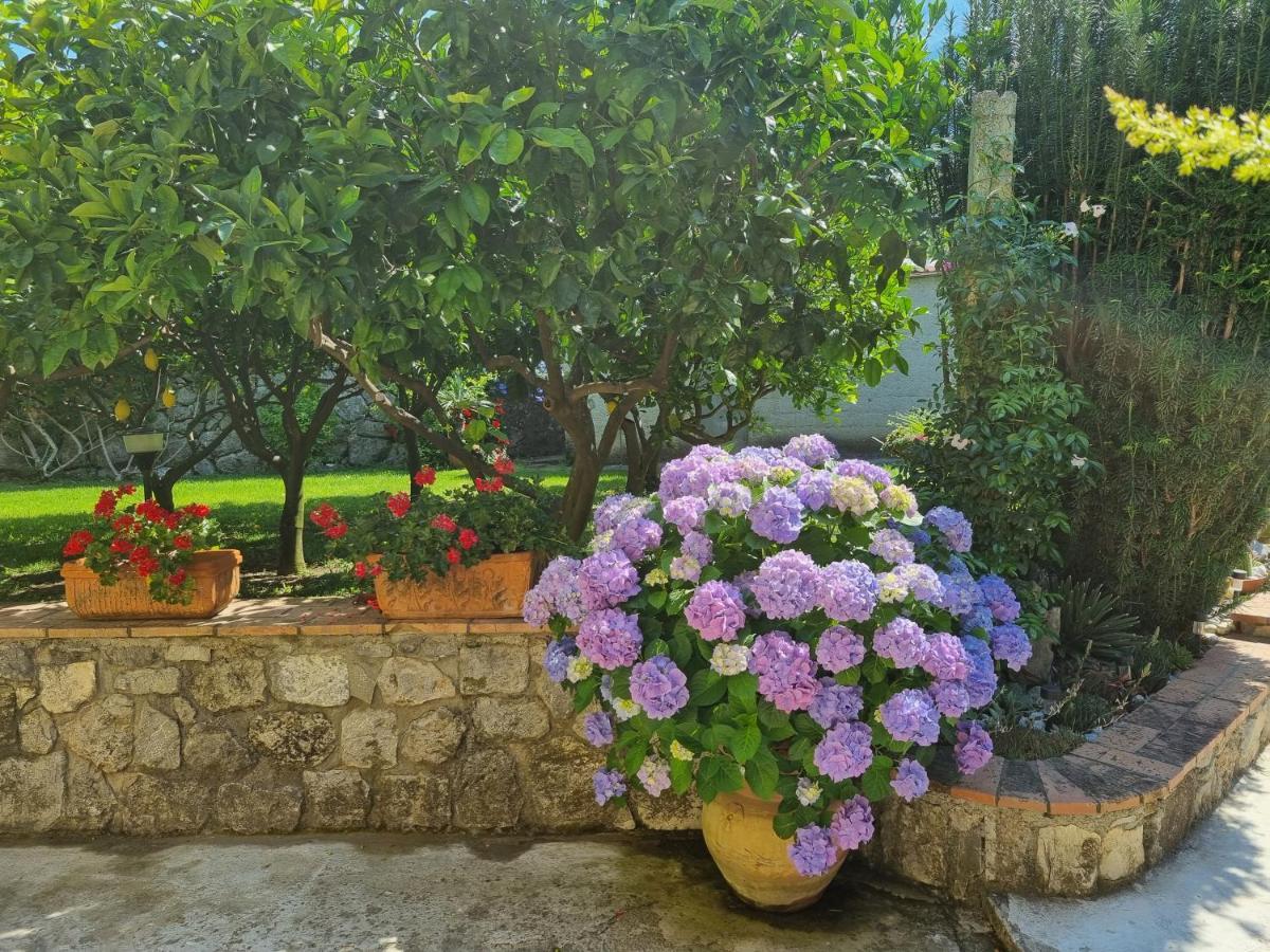 مبيت وإفطار ماراتييا Il Ruscello المظهر الخارجي الصورة
