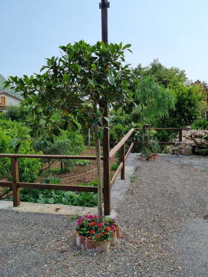 مبيت وإفطار ماراتييا Il Ruscello المظهر الخارجي الصورة