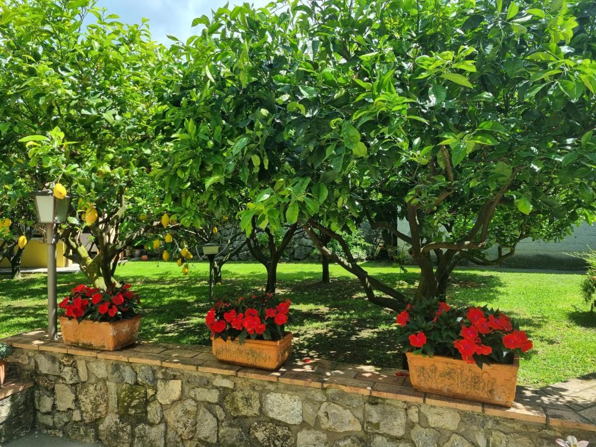 مبيت وإفطار ماراتييا Il Ruscello المظهر الخارجي الصورة