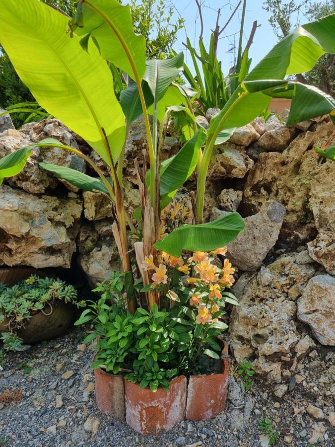 مبيت وإفطار ماراتييا Il Ruscello المظهر الخارجي الصورة